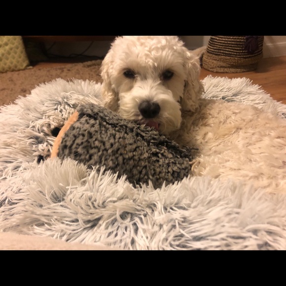 Meet your Posher, Kris - Picture 1 of 1